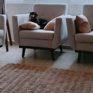 limpieza-de-sillones-a-domicilio