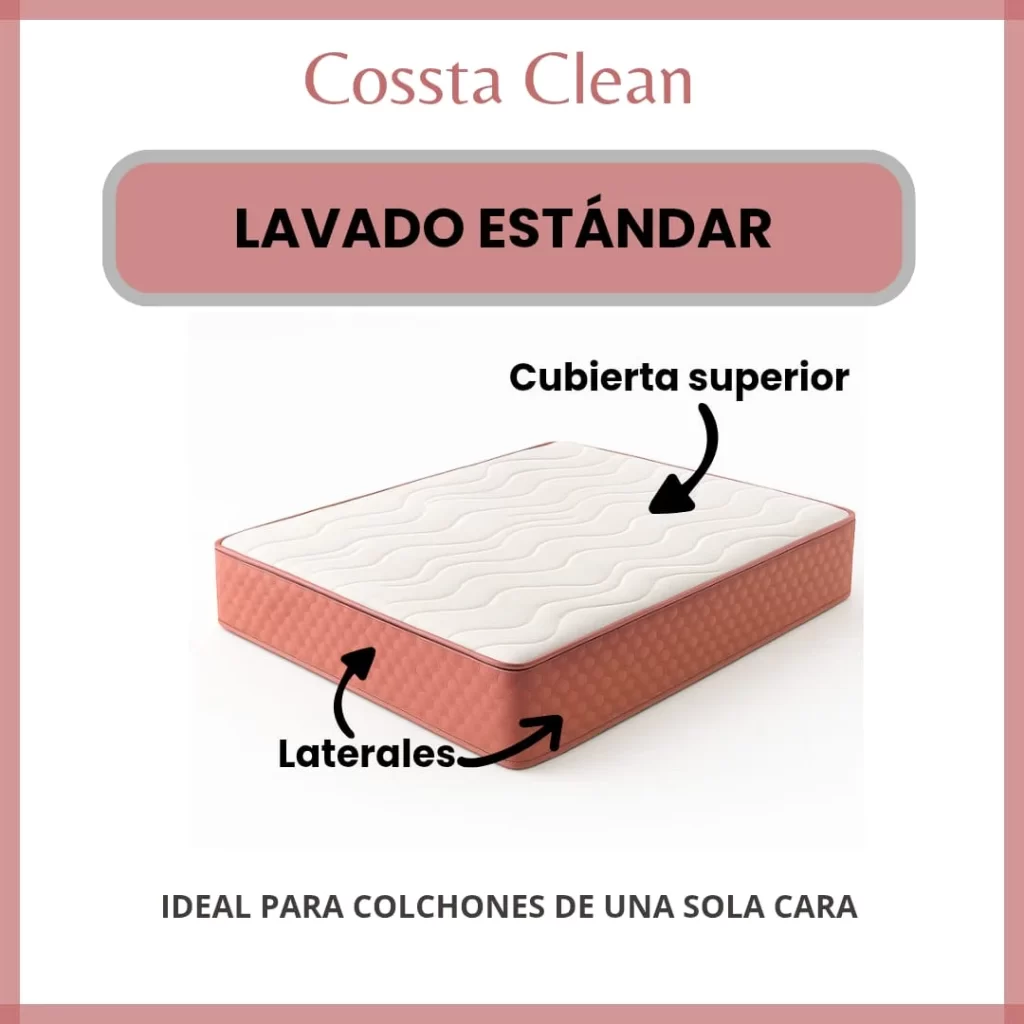 Diagrama de lavado estándar de colchón de una sola cara - Cossta Clean Querétaro
